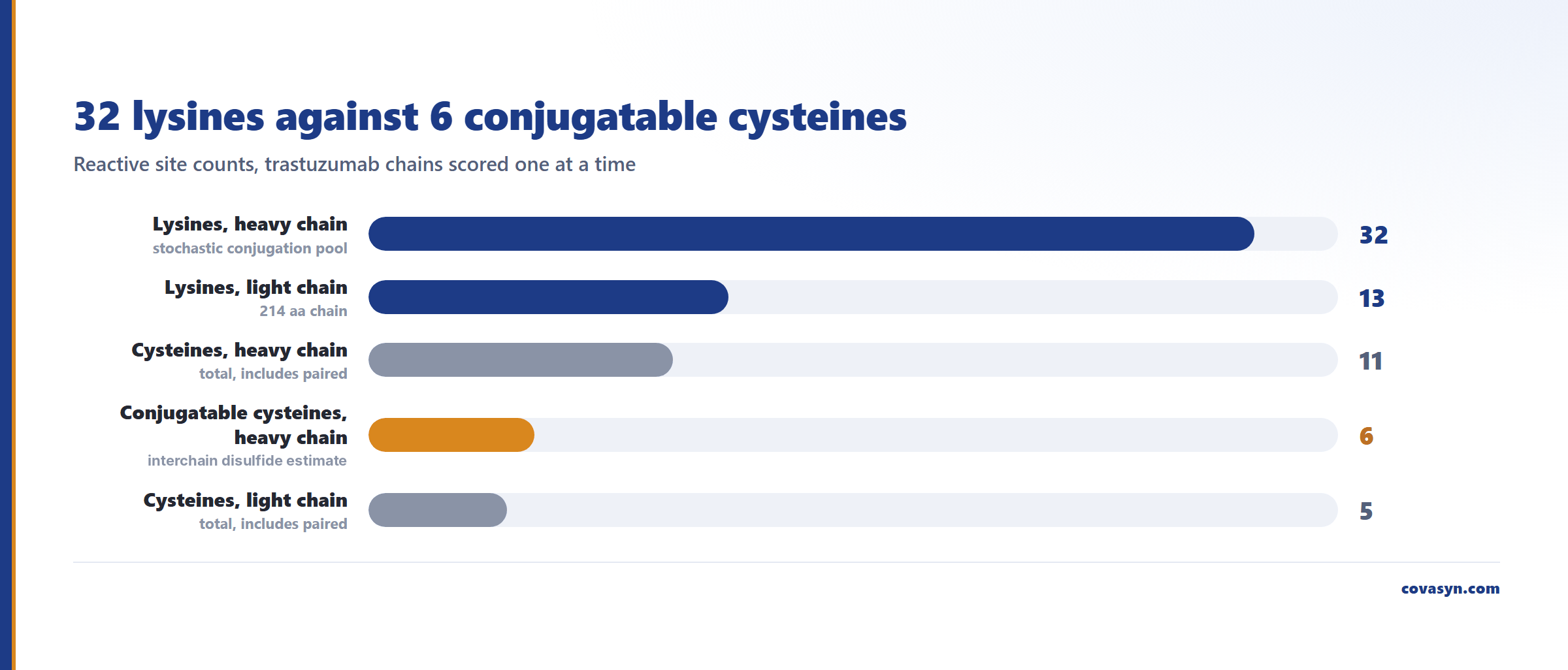 Balkendiagramm der ADC-Konjugationsstellen an Trastuzumab: 32 Lysine an der Schwerkette und 13 an der Leichtkette gegenüber 11 Cysteinen insgesamt, von denen nur 6 als konjugierbar geschätzt werden.